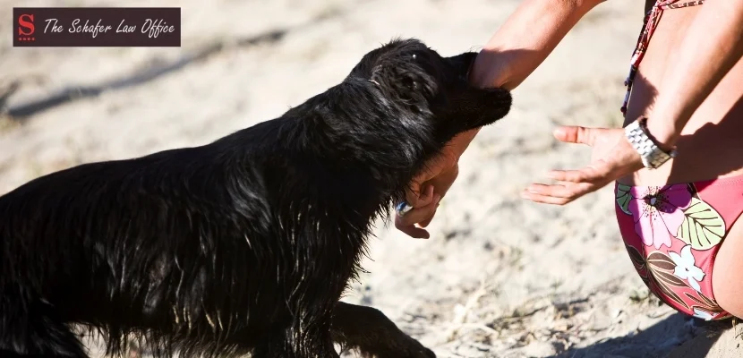 Roaming Off The Leash: Kentucky’s Dog Bite Laws