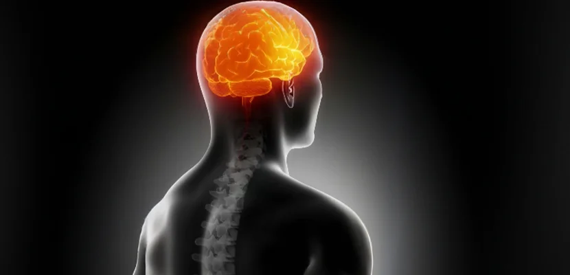 Whiplash: Magnetic Resonance Imaging Assessment Of Ligaments