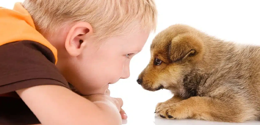 Kentucky Dog Bite Series: What If A Dog Bites My Child?