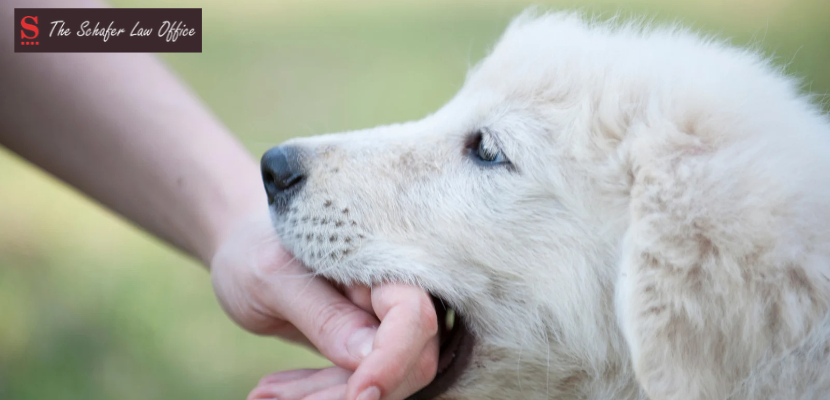 Can a Landlord Be Liable for a Tenant’s Dog Bite in Kentucky?